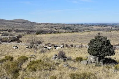 A6-60 Inmobiliaria La Estación Del Espinar, inmobiliaria