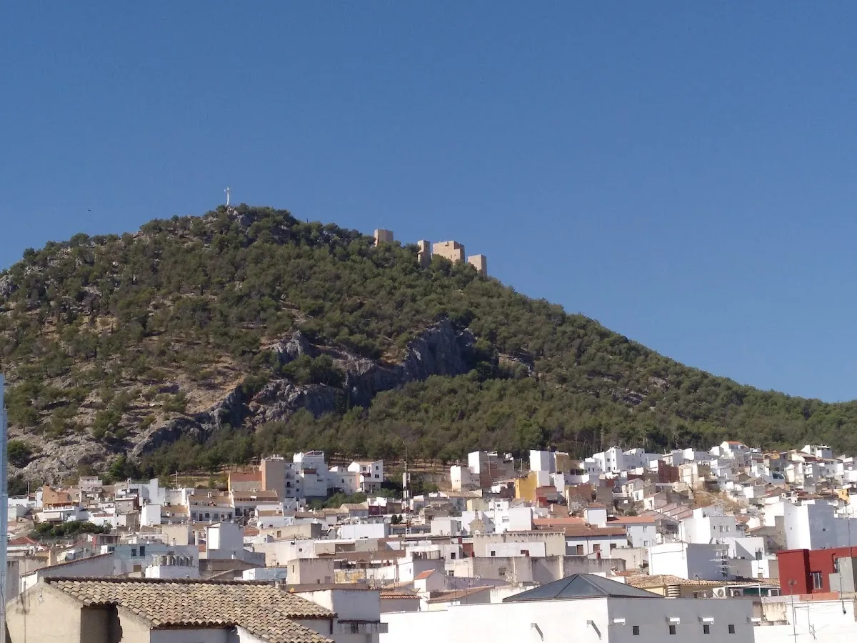 Agencia Inmobiliaria APISUR JAÉN, inmobiliaria