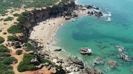 Apica Home Conil, inmobiliaria