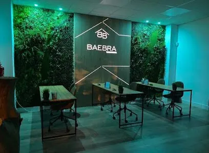 BAEBRA Group