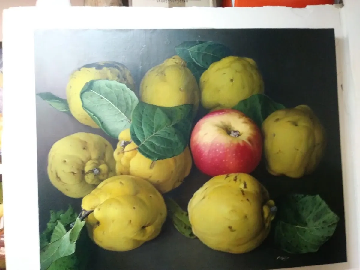 Coll aguilar. Inmobiliaria & galeria de arte, inmobiliaria