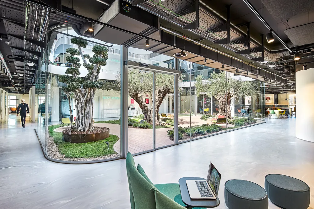 Domus Vivendi Group, inmobiliaria