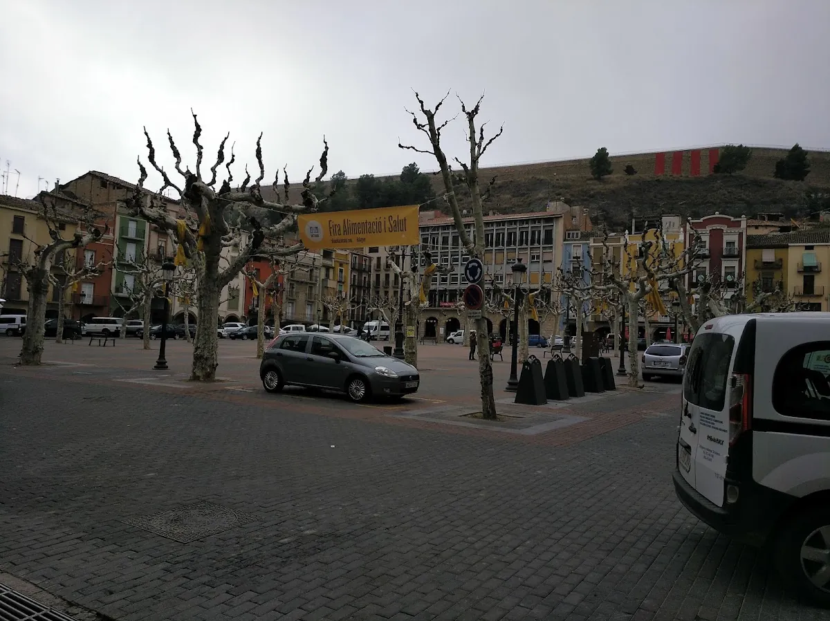 Fincas Balaguer, inmobiliaria