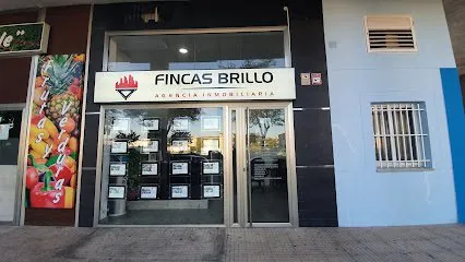Fincas Brillo Inmobiliaria, inmobiliaria