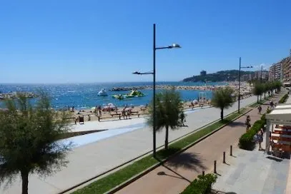 FINQUES BLAU CEL, inmobiliaria