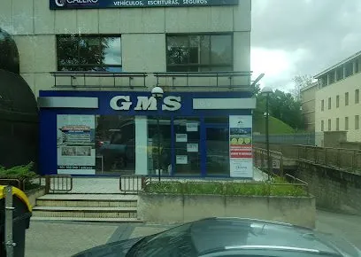 GMS INMOBILIARIA, inmobiliaria