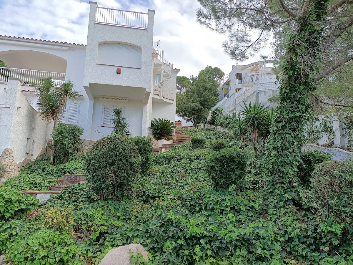 Immobiliaria Finques Pedró, inmobiliaria