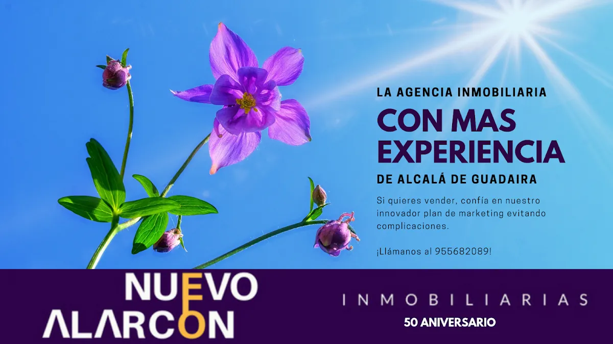 Inmobilaria Nuevo Alarcón, inmobiliaria