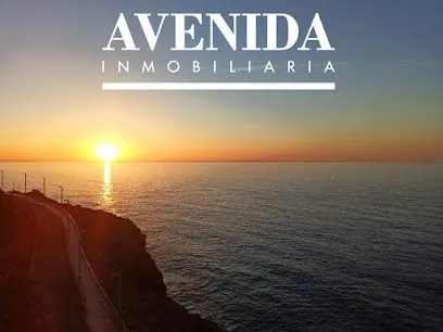 INMOBILIARIA AVENIDA, inmobiliaria