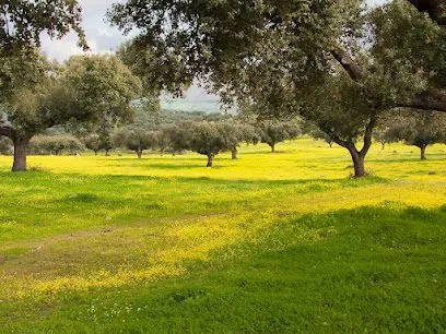 Inmobiliaria Decampo: Venta de fincas en Extremadura, inmobiliaria
