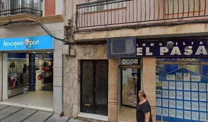 Inmobiliaria El Pasaje, inmobiliaria