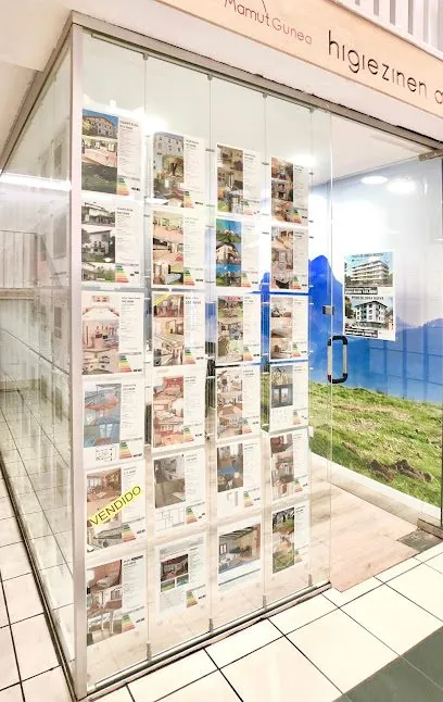 Inmobiliaria Mamut Gunea, inmobiliaria