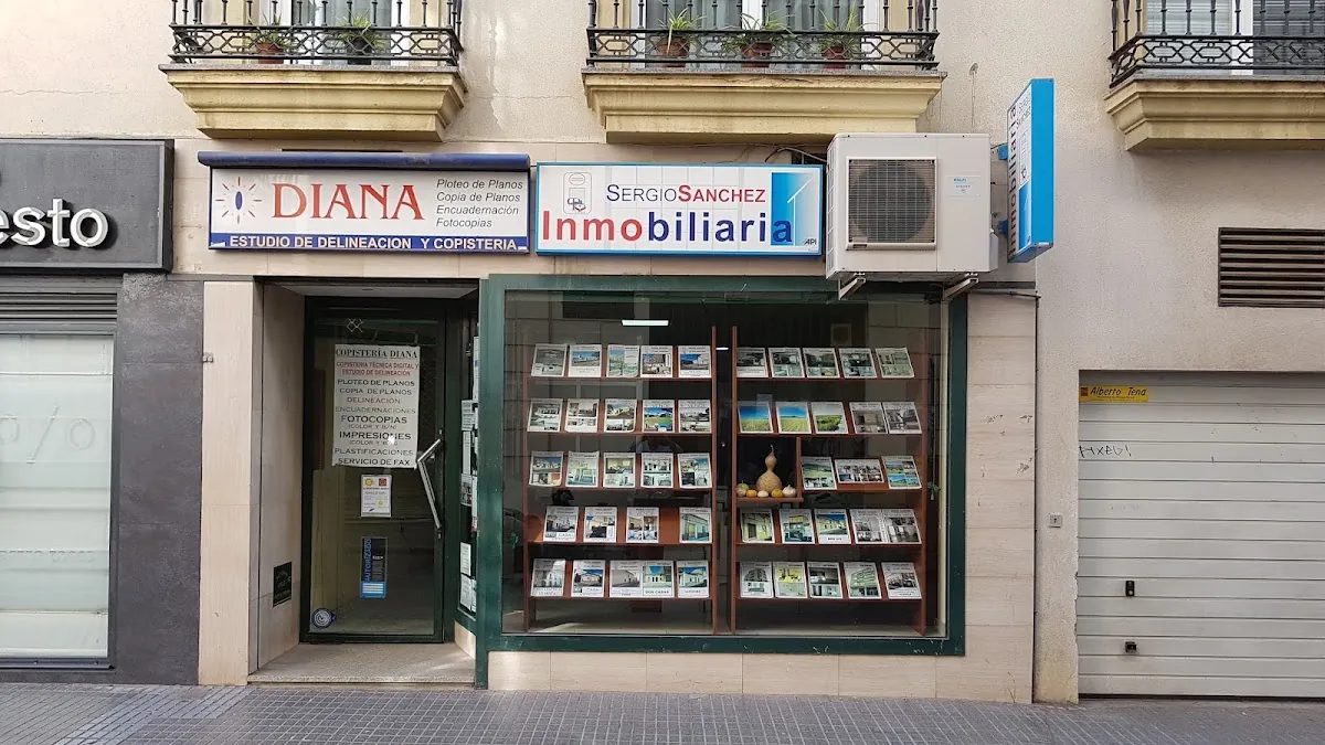 INMOBILIARIA SERGIO SANCHEZ, inmobiliaria