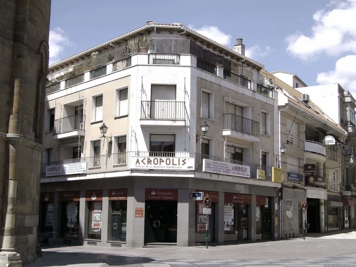 INMOBILIARIA TEJEDOR BENAVENTE, inmobiliaria