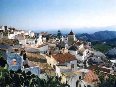 OLIVE PROPERTIES, inmobiliaria