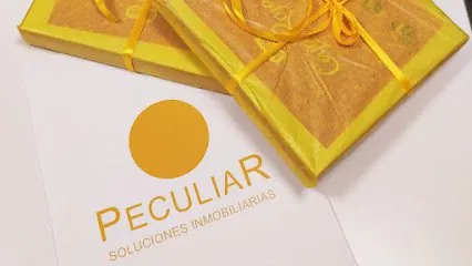 PECULIAR Soluciones Inmobiliarias